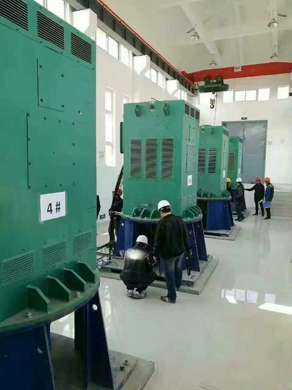 隆林某污水处理厂使用我厂的立式高压电机安装现场