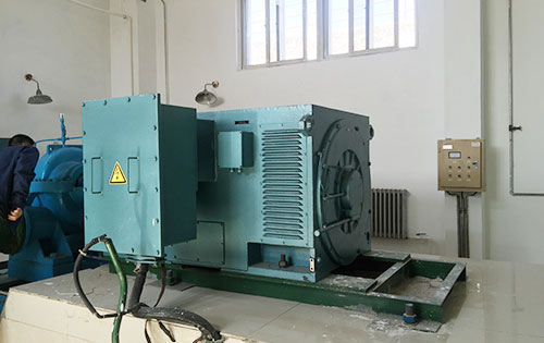 隆林某水电站工程主水泵使用我公司高压电机